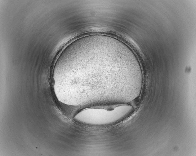 X0000090460930200708102108