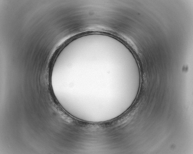 X0000090460931200708102108