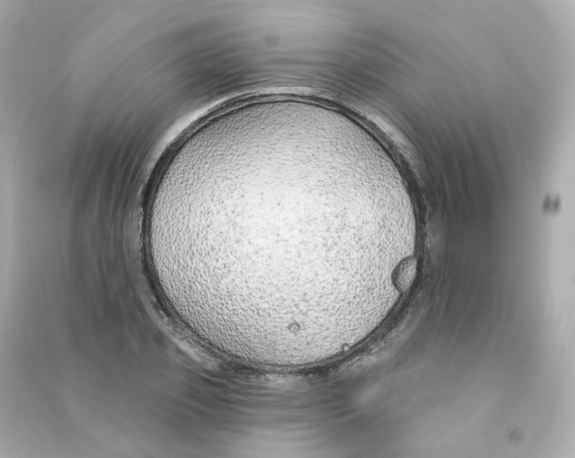 X0000090460933200708102108