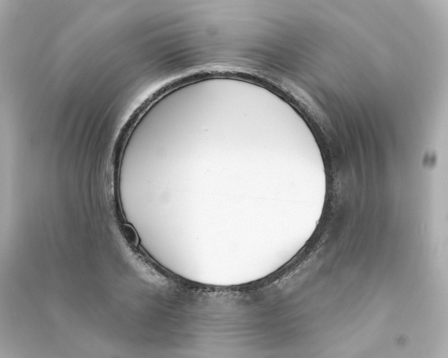 X0000090460934200708102108