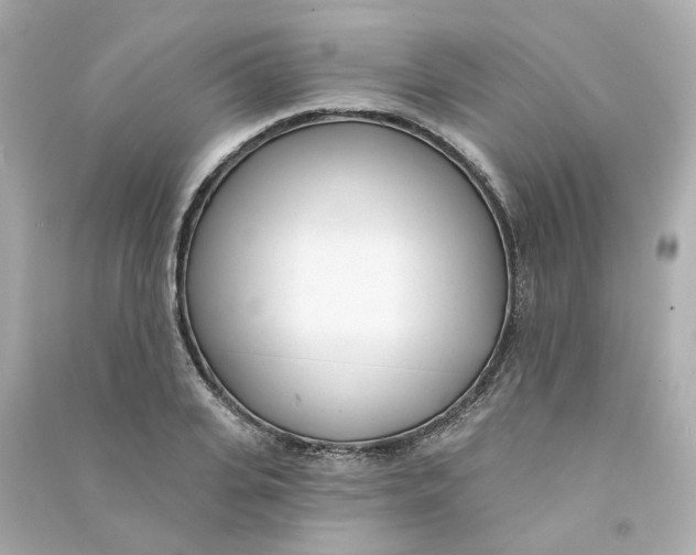X0000090460935200708102108