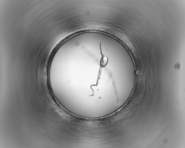 X0000090460936200708102108