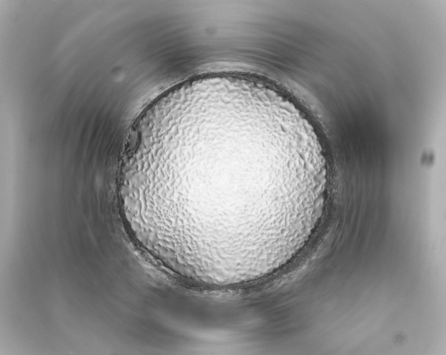 X0000090460937200708102108