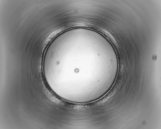 X0000090460938200708102108