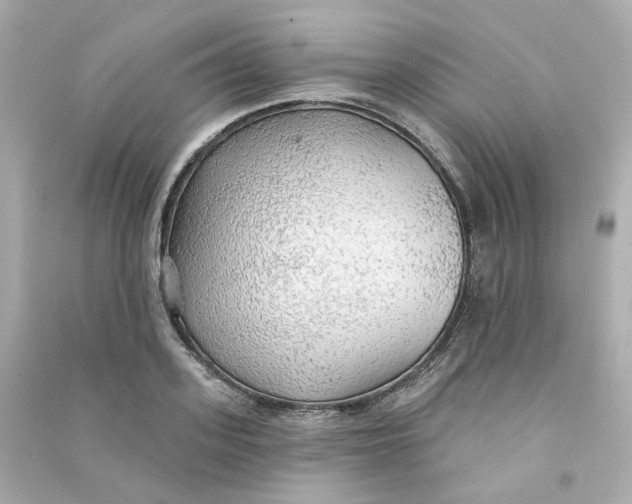 X0000090460939200708102108