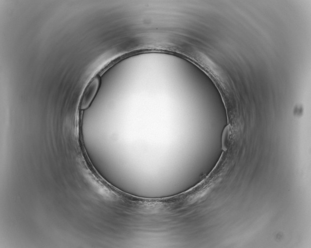 X0000090460940200708102108