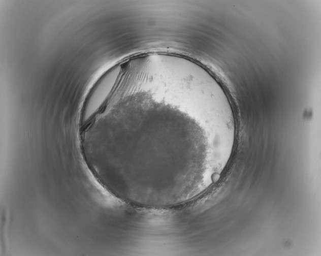 X0000090460941200708102108