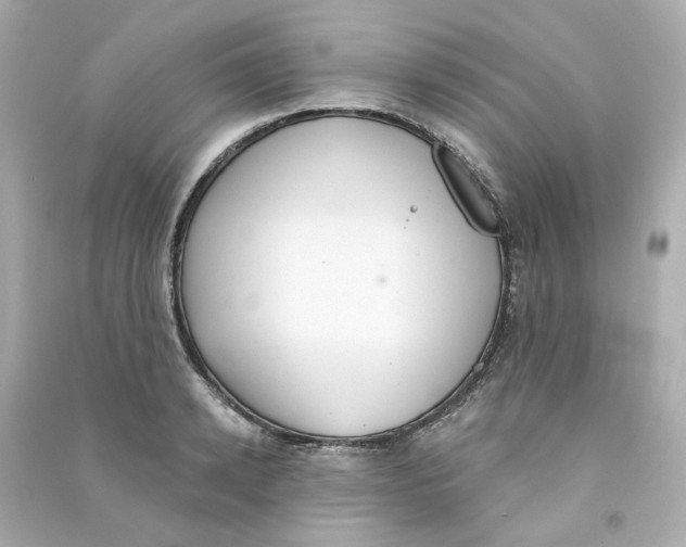 X0000090460942200708102108