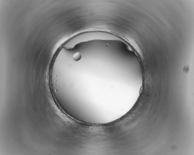 X0000090460944200708102108