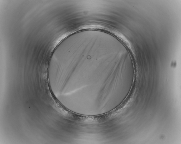 X0000090460945200708102108