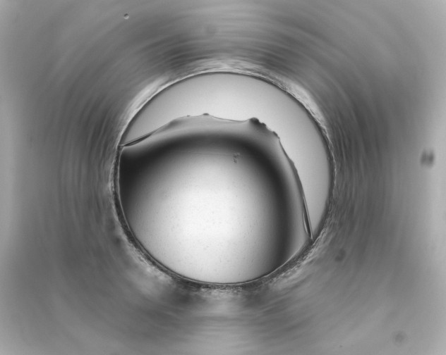 X0000090460946200708102108