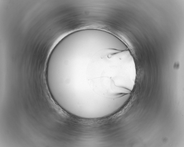 X0000090460948200708102108