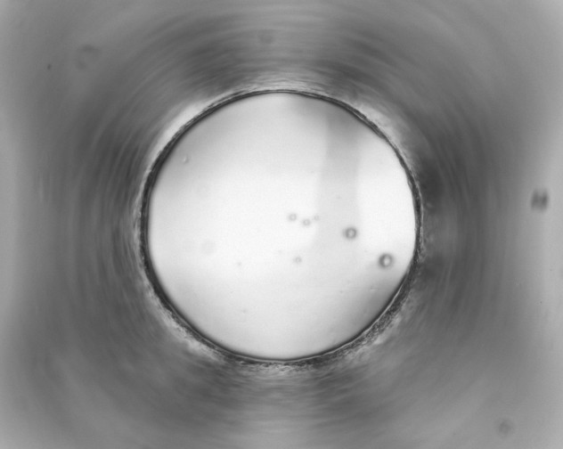 X0000090460949200708102108