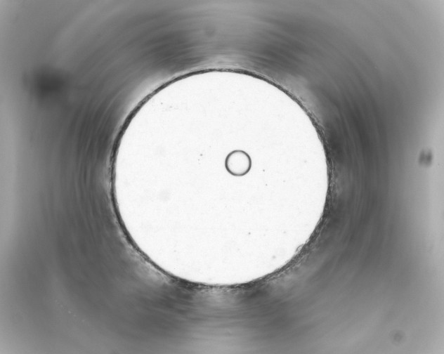 X0000090460950200708102108