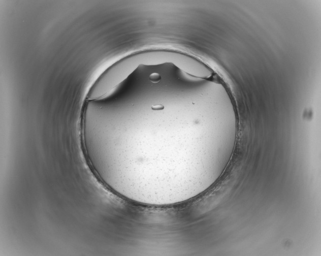 X0000090460951200708102108