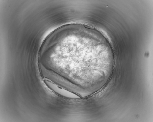 X0000090460952200708102108