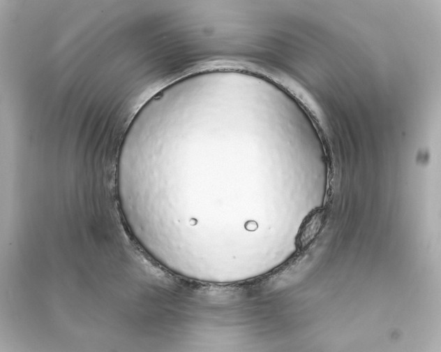 X0000090460953200708102108