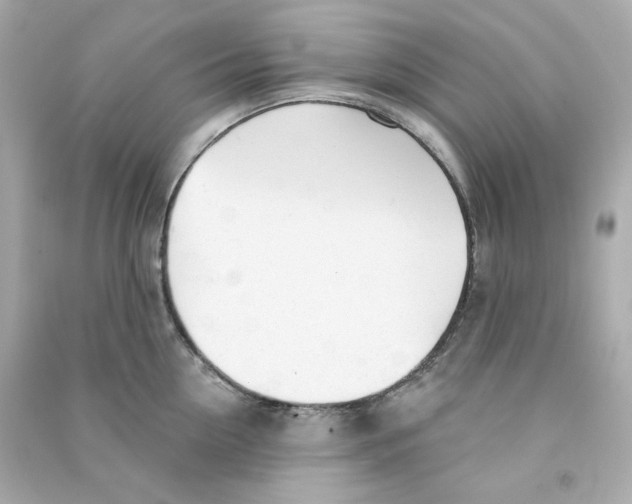 X0000090460954200708102108