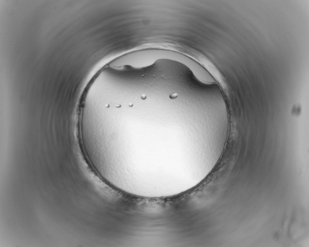 X0000090460955200708102108