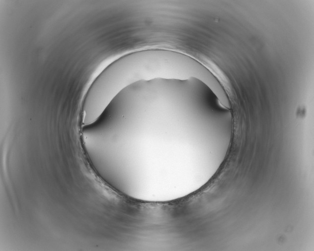 X0000090460956200708102108