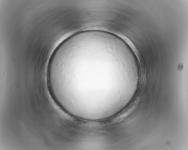 X0000090460957200708102108