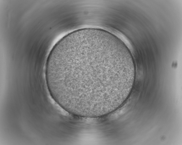 X0000090460958200708102108
