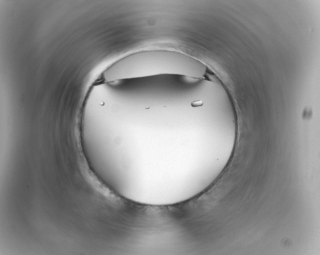 X0000090460960200708102108