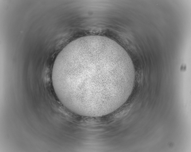 X0000090460962200708102108