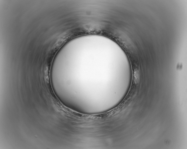 X0000090460963200708102108