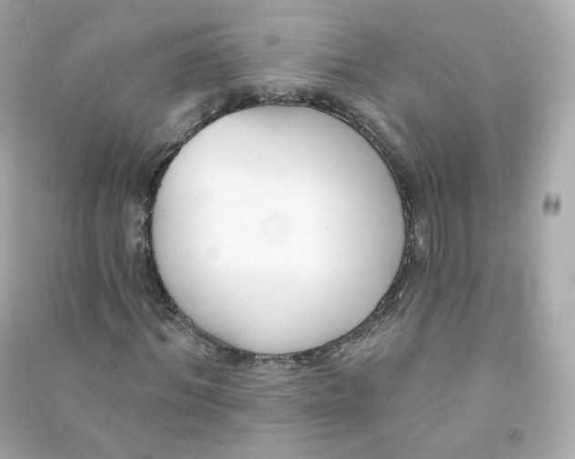 X0000090460964200708102108