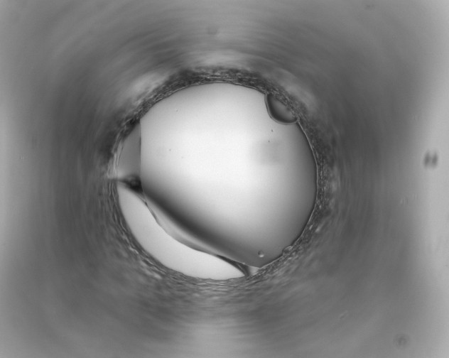 X0000090460965200708102108