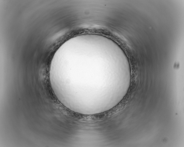 X0000090460966200708102108