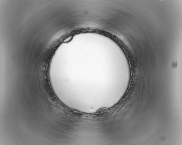 X0000090460967200708102108