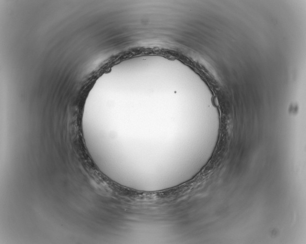 X0000090460968200708102107