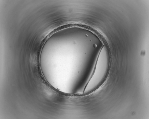 X0000090460969200708102107