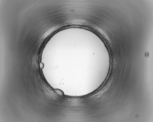 X0000090460970200708102107