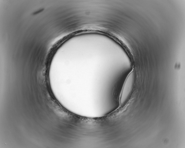 X0000090460971200708102107