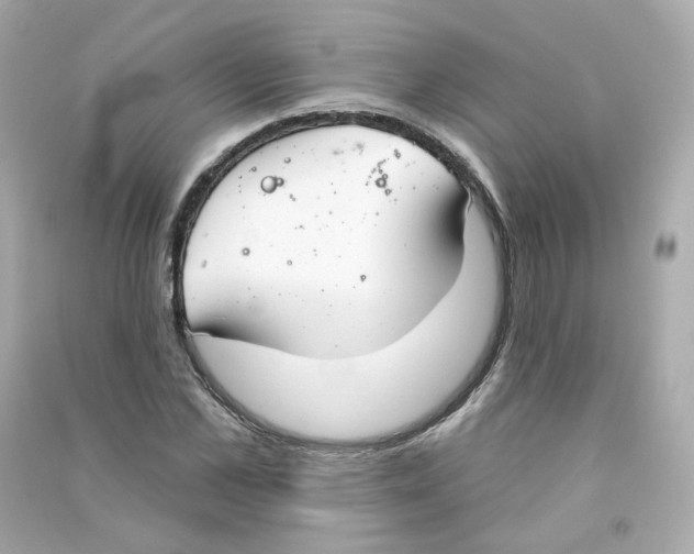 X0000090460973200708102107