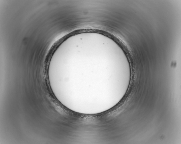 X0000090460974200708102107