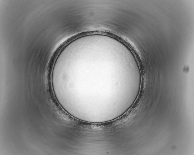 X0000090460975200708102107