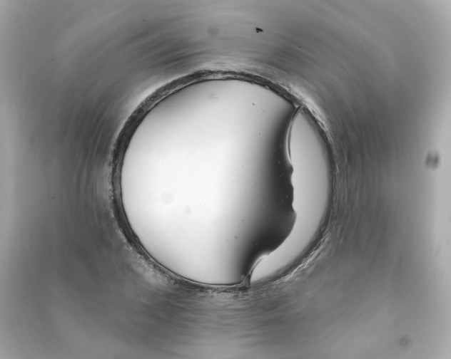X0000090460976200708102107