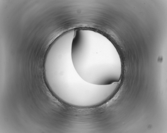 X0000090460977200708102107