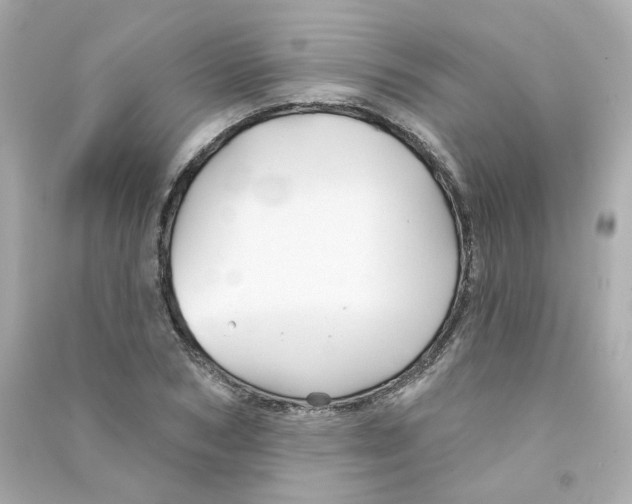 X0000090460978200708102107