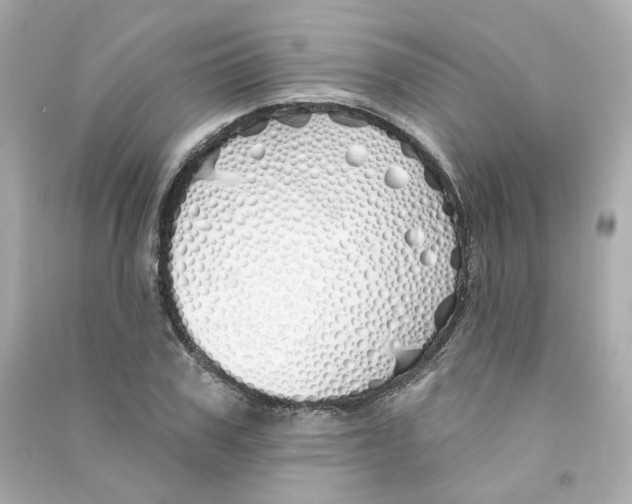X0000090460979200708102107