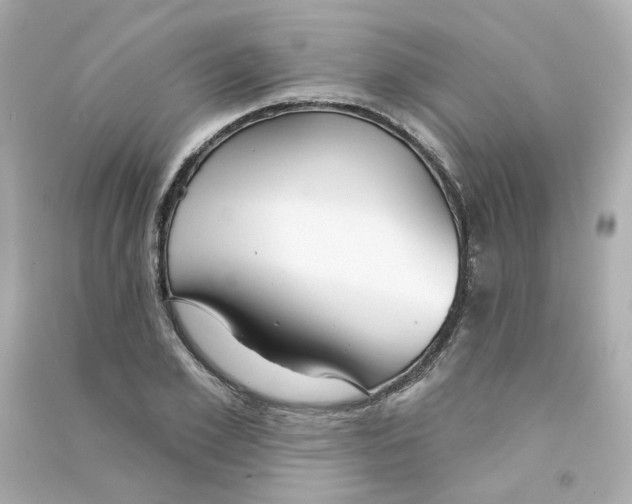X0000090460981200708102107