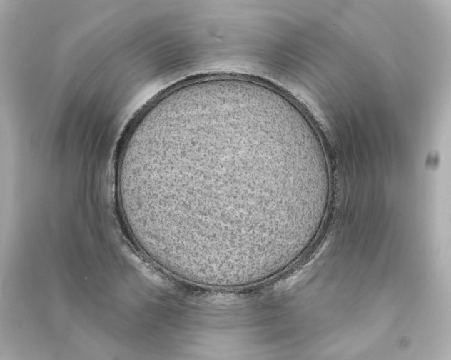 X0000090460982200708102107