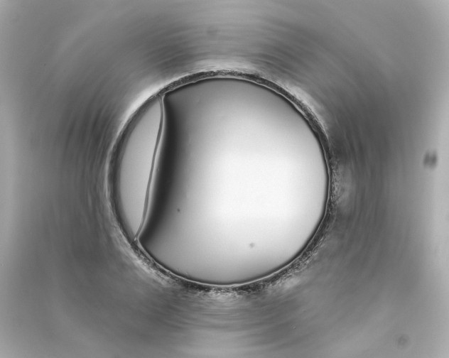 X0000090460983200708102107