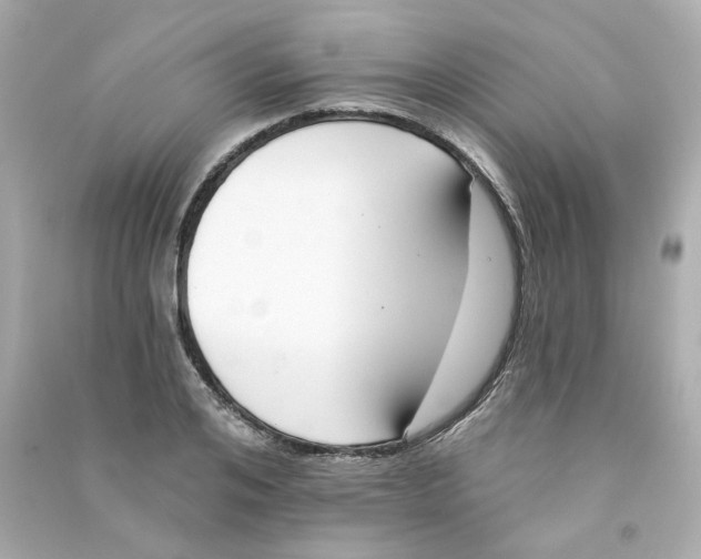 X0000090460984200708102107