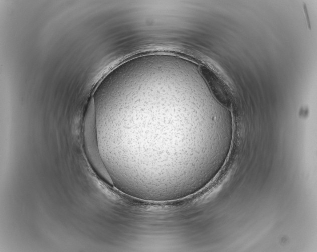 X0000090460985200708102107