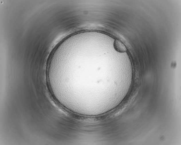 X0000090460986200708102107